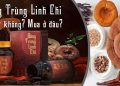 Viên Uống Đông Trùng Linh Chi Có Tốt Không? Mua Ở Đâu?