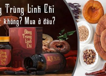 Viên Uống Đông Trùng Linh Chi Có Tốt Không? Mua Ở Đâu?