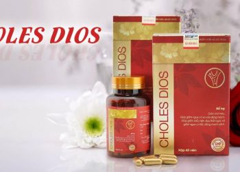 hinh dai dien choles dios 1