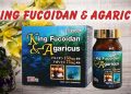 hinh dai dien king fucoidan agaricus