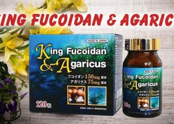 hinh dai dien king fucoidan agaricus