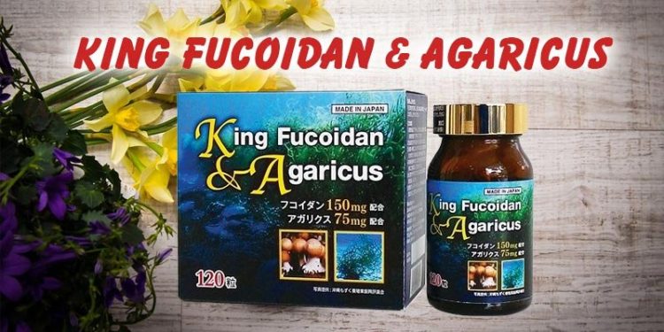 hinh dai dien king fucoidan agaricus
