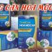 hinh dai dien tang can hoa moc an
