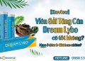 review-vien-sui-dream-lybo-co-tot-khong