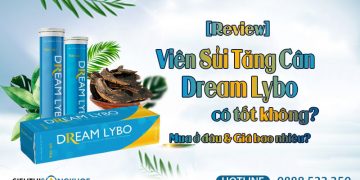 review-vien-sui-dream-lybo-co-tot-khong