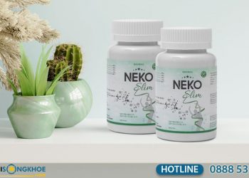 Viên Uống Neko Slim Giảm Cân Có Tốt Không? Mua Ở Đâu và Giá Bao Nhiêu?