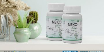 Viên Uống Neko Slim Giảm Cân Có Tốt Không? Mua Ở Đâu và Giá Bao Nhiêu?