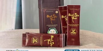 review bách tâm xoan có tốt không
