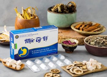 Viên uống Hỗ Trợ Điều Trị Viêm Loét Dạ Dày, Tá Tràng - Mộc Tỳ Vị có tốt không?