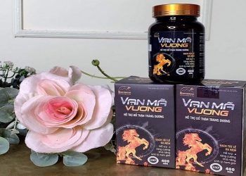 Vạn Mã Vương