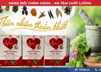 Linh Áp Đan Tây Bắc có tốt không