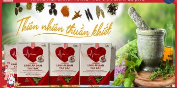 Linh Áp Đan Tây Bắc có tốt không