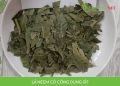 Lá Neem Có Công Dụng Gì? Phương Thuốc Chữa Mụn Hiệu Quả