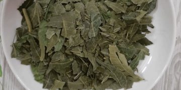 Lá Neem Có Công Dụng Gì? Phương Thuốc Chữa Mụn Hiệu Quả