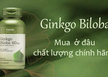 Mua thuốc Ginkgo Biloba chính hãng ở đâu?