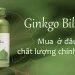 Mua thuốc Ginkgo Biloba chính hãng ở đâu?