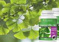 vien-uong-bo-nao-Ginkgo-Biloba