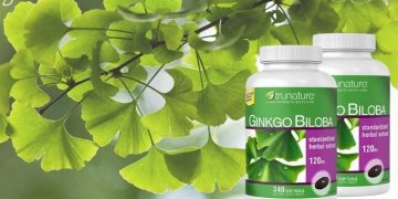 vien-uong-bo-nao-Ginkgo-Biloba