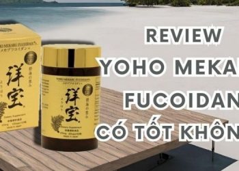 Review Yoho Mekabu Fucoidan có tốt không