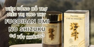 Viên uống hỗ trợ điều trị ung thư Fucoidan Umi No Shizuku có tốt không