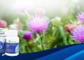 Liver Protect Vita Leaf giá bao nhiêu? Mua ở đâu chính hãng?