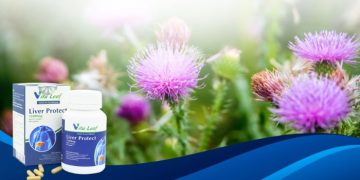 Liver Protect Vita Leaf giá bao nhiêu? Mua ở đâu chính hãng?