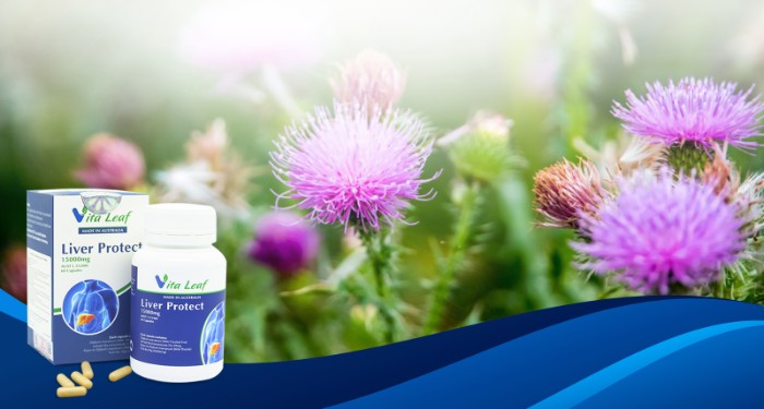 Liver Protect Vita Leaf giá bao nhiêu? Mua ở đâu chính hãng?